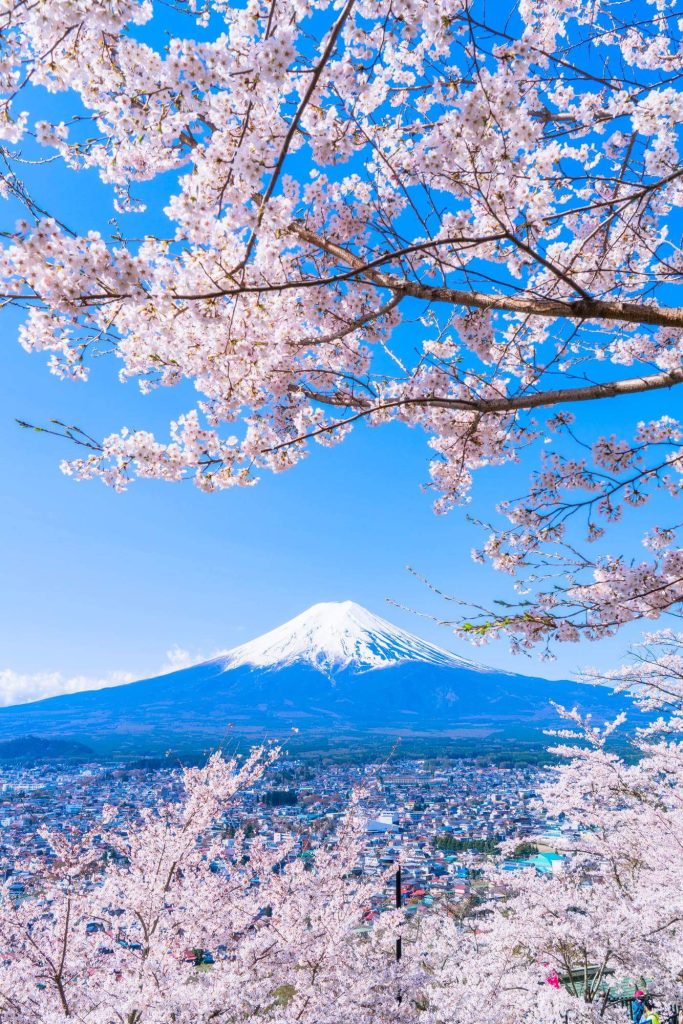 Snow-capped Mount Fuji and pink sakura blossoms over vibrant cityscape in spring Japan wallpaper