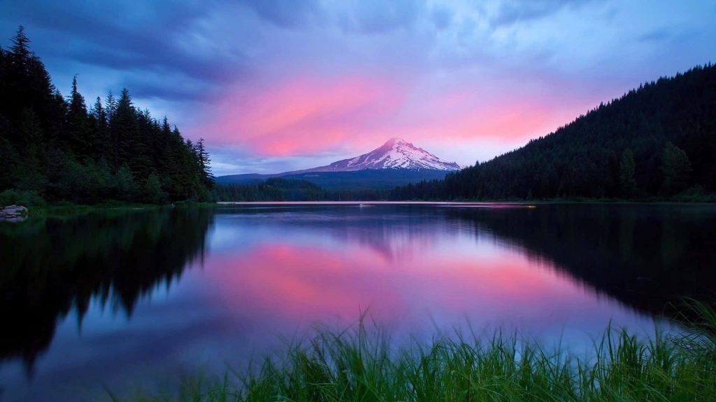 Mount Hood sunset reflection in Trillium Lake with vibrant pink clouds and evergreen forest Wallpaper