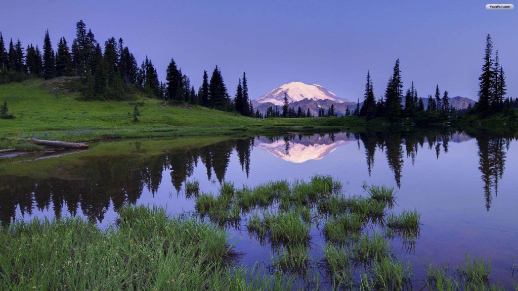 Snow-capped Mount Rainier reflects in calm Reflection Lakes surrounded by alpine meadows and evergreens Wallpaper