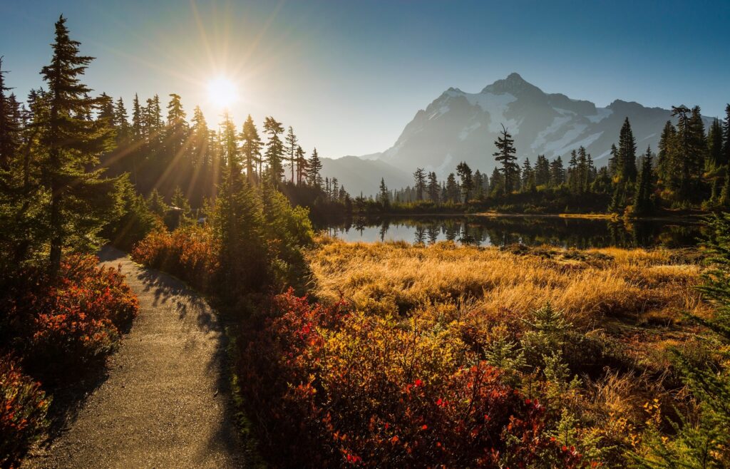 Mount Shuksan in Cascade Mountains with golden grasslands lake and morning sunlight sky wallpaper