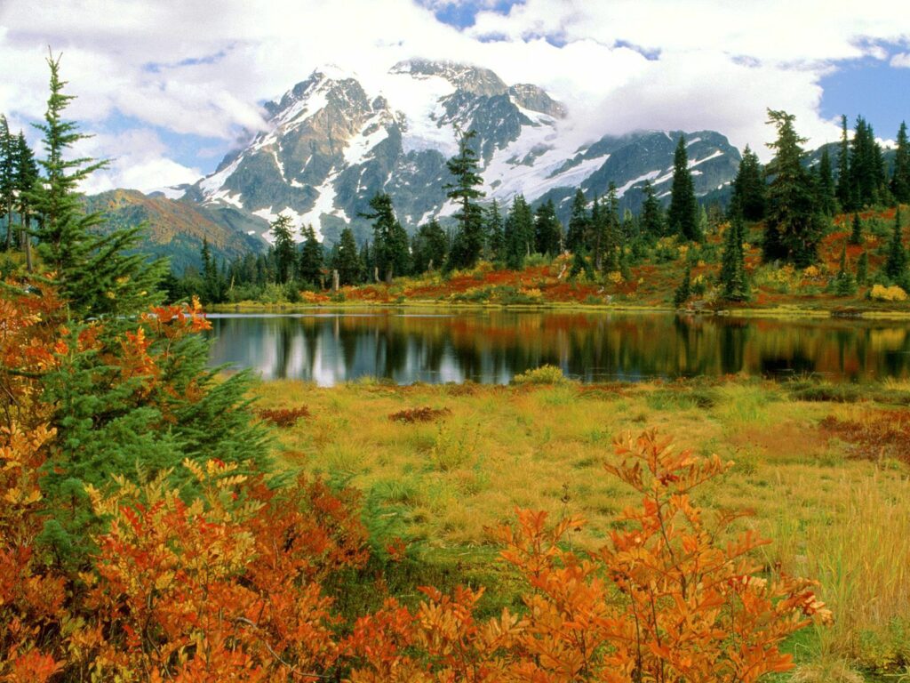 Mount Shuksan reflected in lake with autumn foliage and evergreen trees under clear sky wallpaper