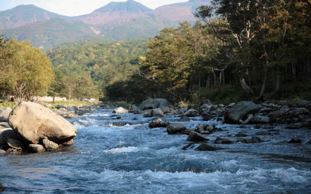 Mountain river flowing through rugged stones surrounded by lush trees and distant peaks wallpaper