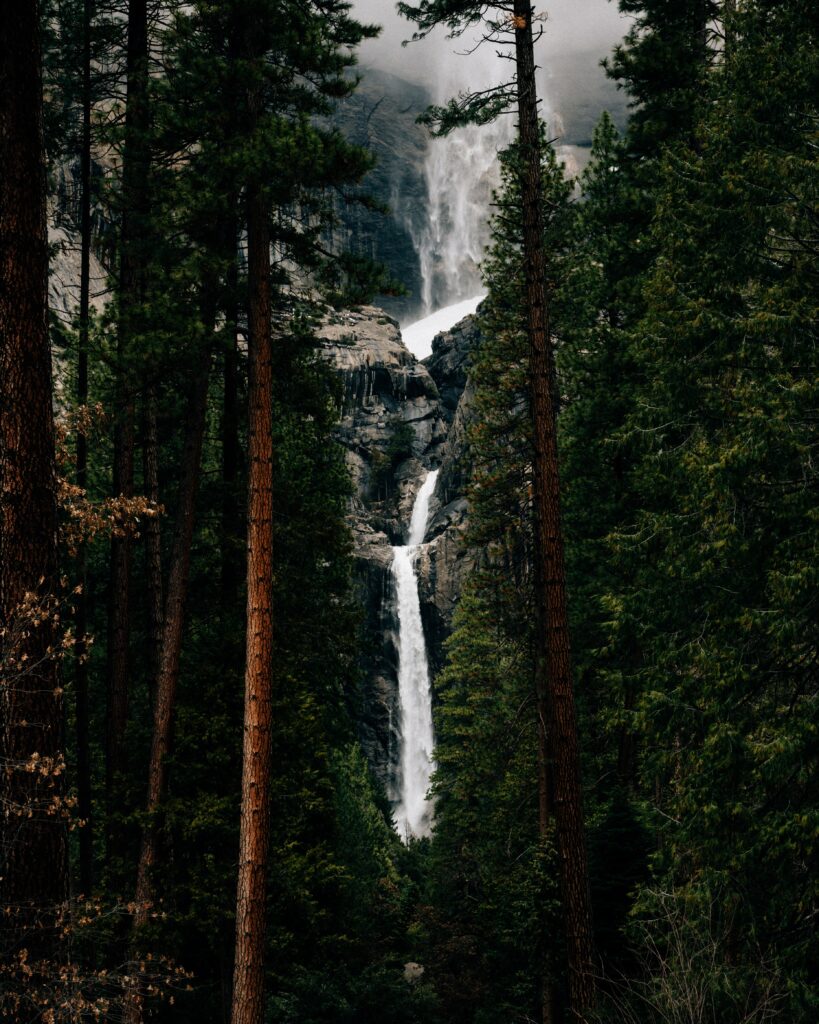 Multi tier waterfall flowing through dense evergreen forest with vibrant green foliage misty atmosphere Wallpaper