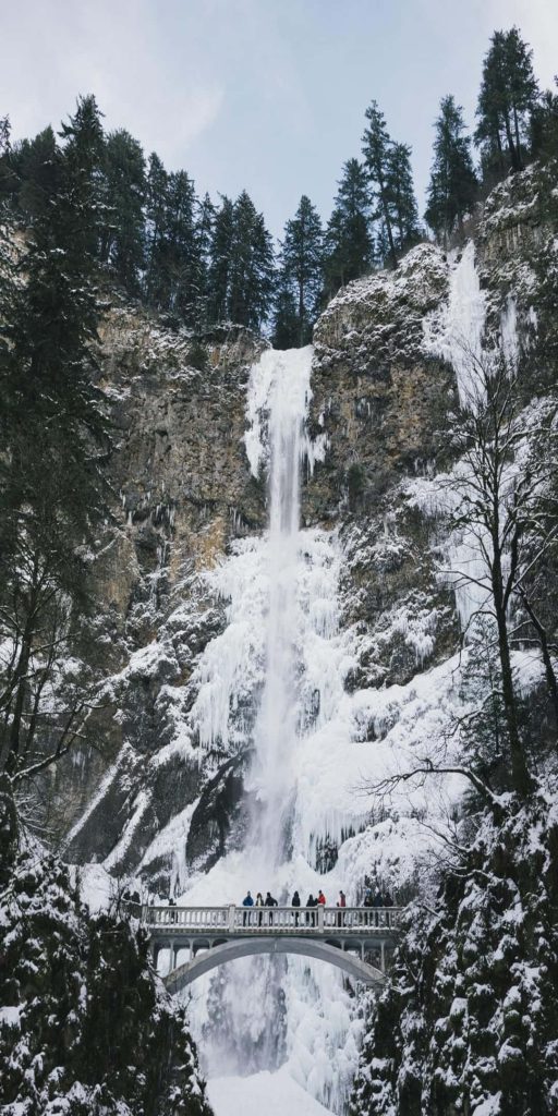 Partially frozen Multnomah Falls in winter with snow, pine trees, and visitors on Benson Bridge Wallpaper