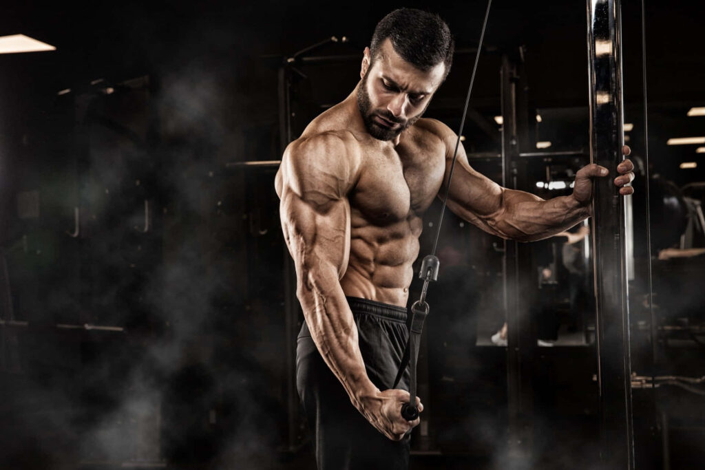 Muscular bodybuilder focused on arm workout showcasing defined muscles in dim gym background Wallpaper