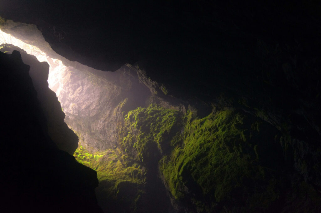 Mysterious Cave Glow: Enigmatic Beauty with Lush Moss Walls Wallpaper