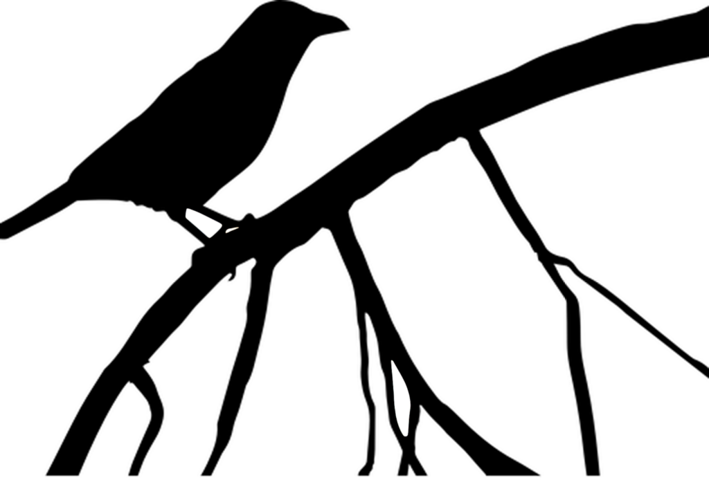 Abstract Crow Wallpaper: Mysterious Dark Minimalist Design