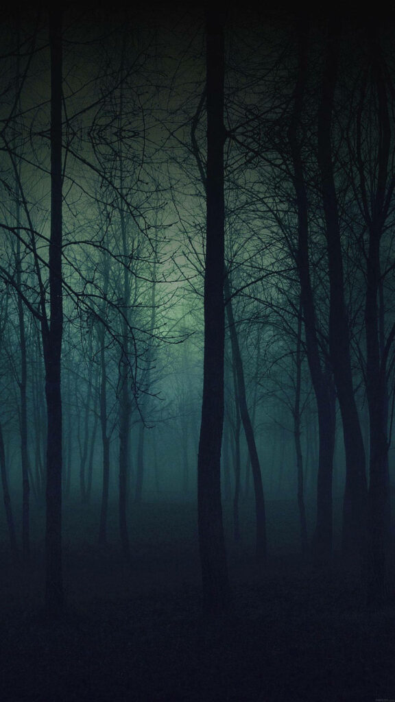 The Enigmatic Depths of a Dark Green Forest: A Haunting Phone Wallpaper