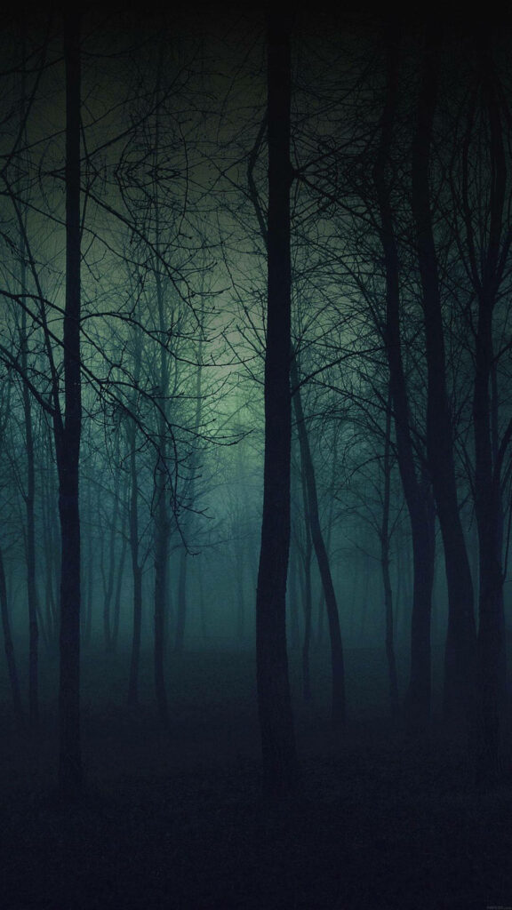 Mystical dark green forest wallpaper with tall trees and moody mist for nature lovers phone background