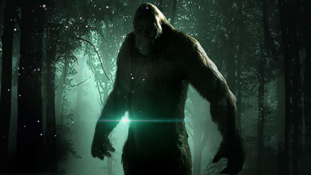 Elusive Bigfoot Concealed Amongst the Shadows in a Verdant Forest Wallpaper
