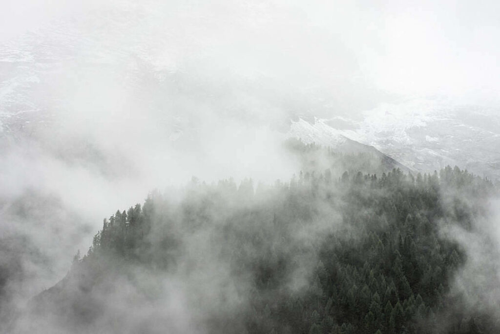 Mysterious Foggy Forest Wallpaper: Ethereal Atmosphere Background