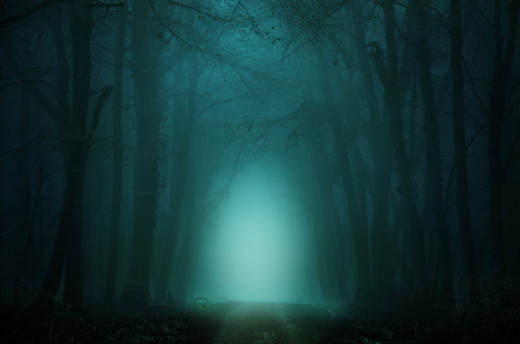 Ethereal forest wallpaper with foggy towering trees and glowing path in deep green and blue hues