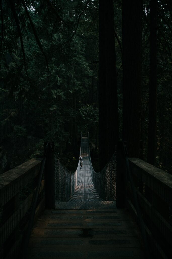 Solitary suspension bridge over deep green forest with towering trees in a moody serene scene Wallpaper