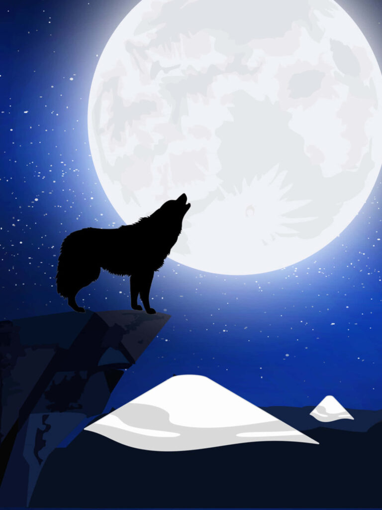 Lone Wolf Howling at Full Moon - Starry Night Sky Wallpaper