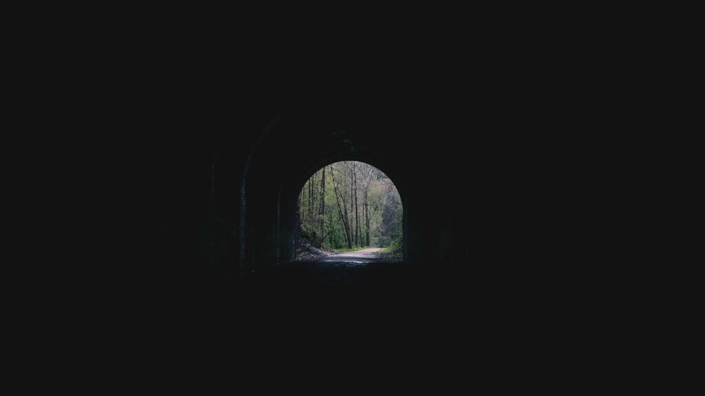 Mystical Pathways: A Majestic Journey Through Enchanting Arboreal Tunnel Wallpaper