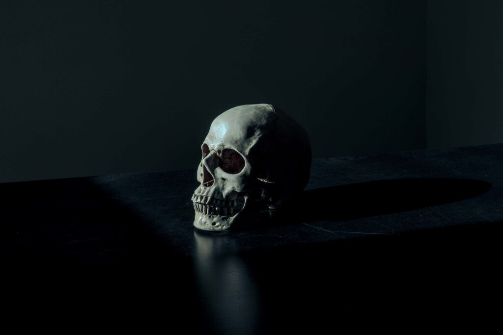 Eerie Contrast: Shadowy Backdrop Enhances White Skeleton Aesthetic Wallpaper