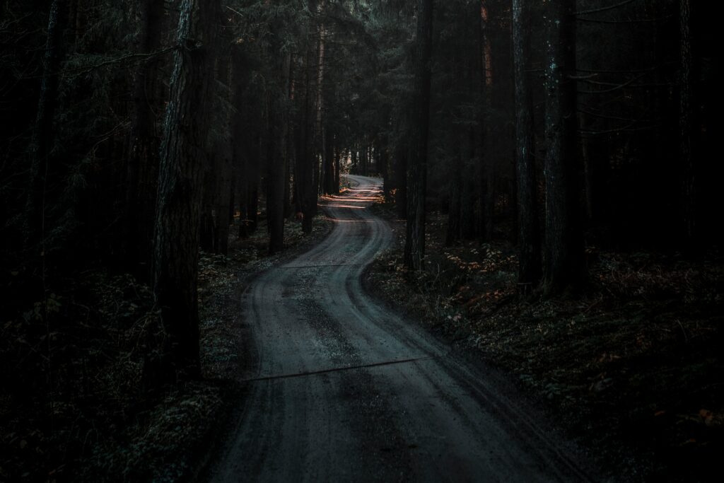 Winding road through dark dense forest with soft light and deep shadows serene nature wallpaper