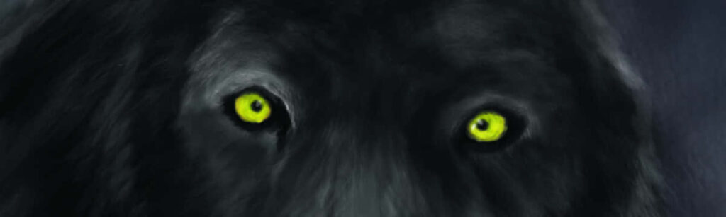 Enigmatic Dark Wallpaper: Mysterious Wolf with Piercing Yellow Eyes