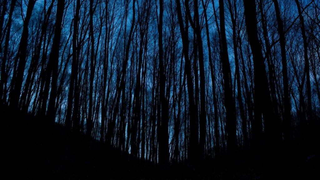 Enchanting Midnight Serenity: Captivating Forestscape in Aesthetic Navy Blue HD Wallpaper