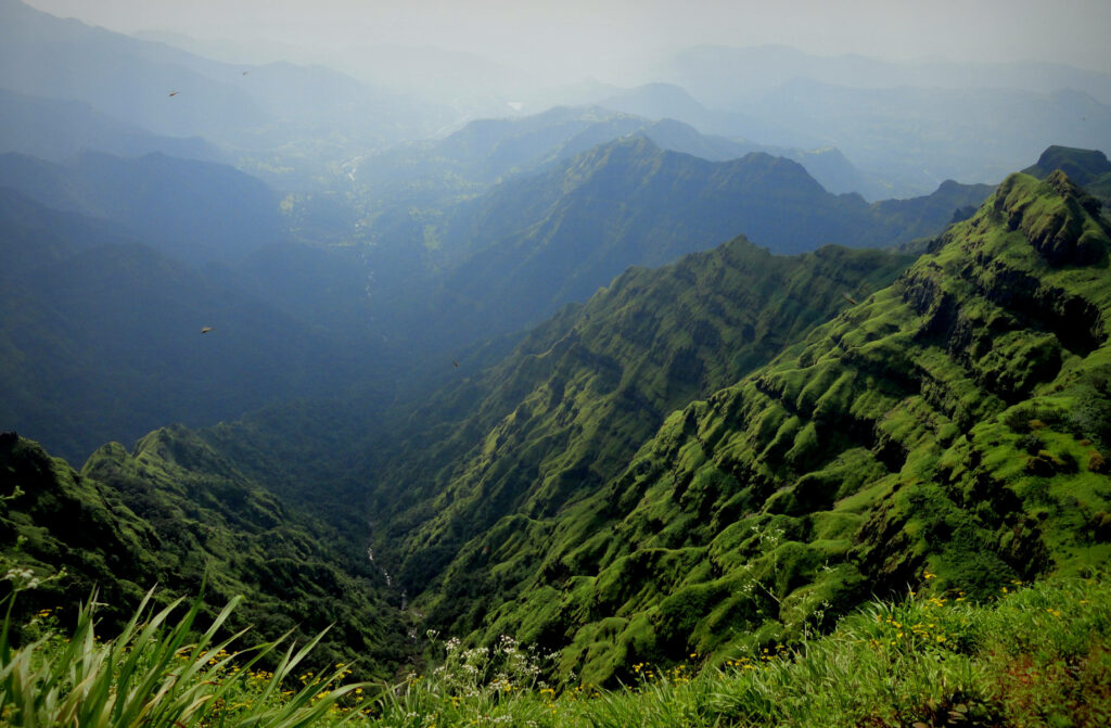 Misty Peaks and Lush Alpine Vegetation - Enchanting Mountain Landscape Wallpaper