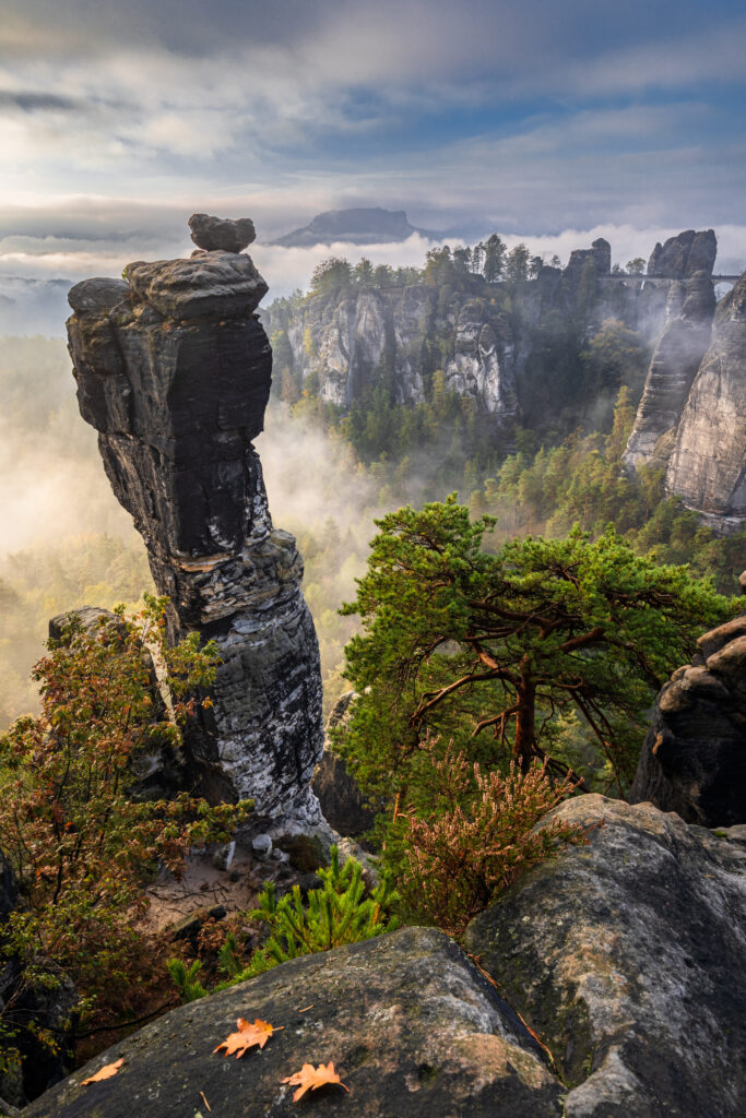 Aerial view of towering rock formations above misty forest with autumn leaves and soft light Wallpaper