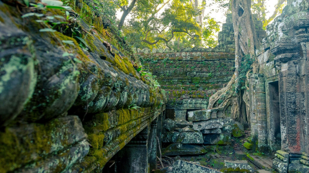 Mystical Angkor Wat ruins with ancient stone structures covered in green moss and tree roots background Wallpaper
