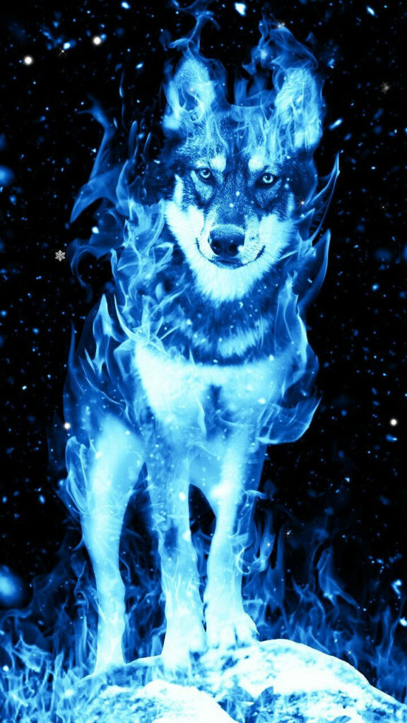 Mystical Blue Wolf Amid Ethereal Flames - Captivating Background Wallpaper