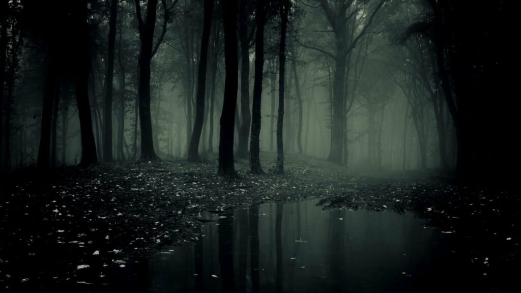Mystical Serenity: Dark Forest Trees Meet the Foggy Lake in an HD Wallpaper Background Photo