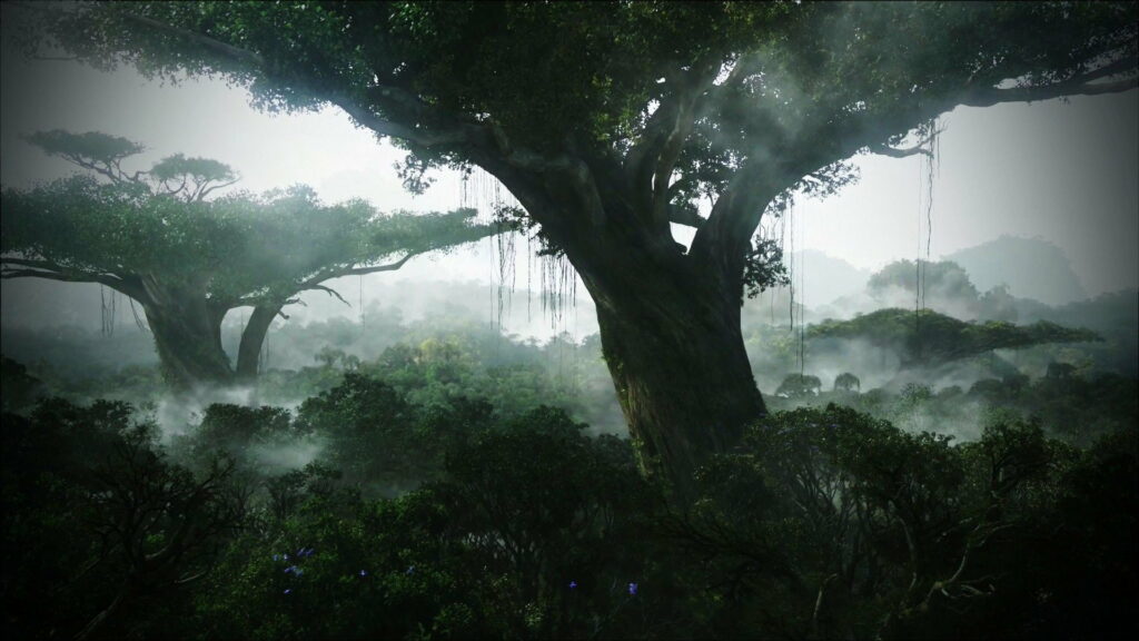 Mystical Enigma: Captivating HD Wallpaper of a Fog-Enveloped Jungle's Dense Canopy