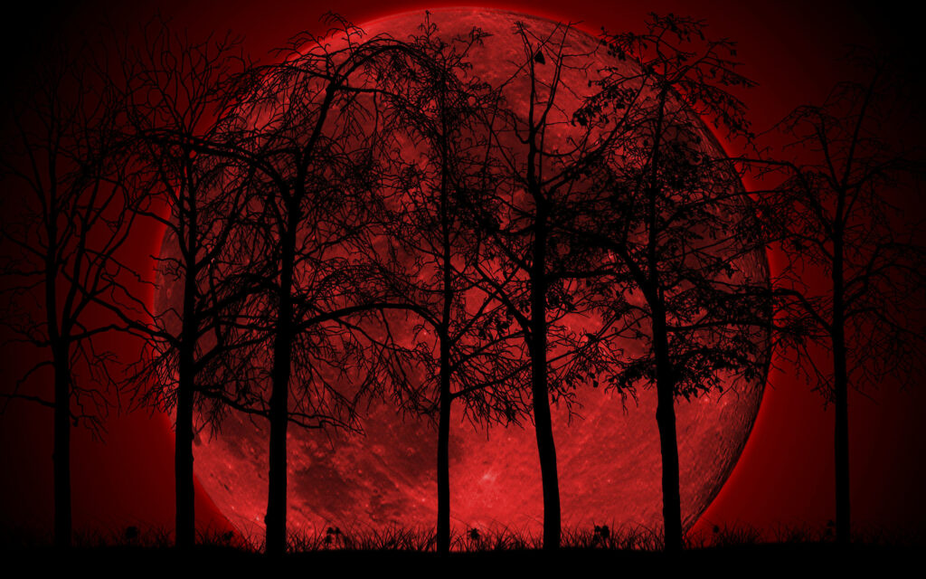 Moonlight: Transcending the Forest's Enchanting Aura Wallpaper