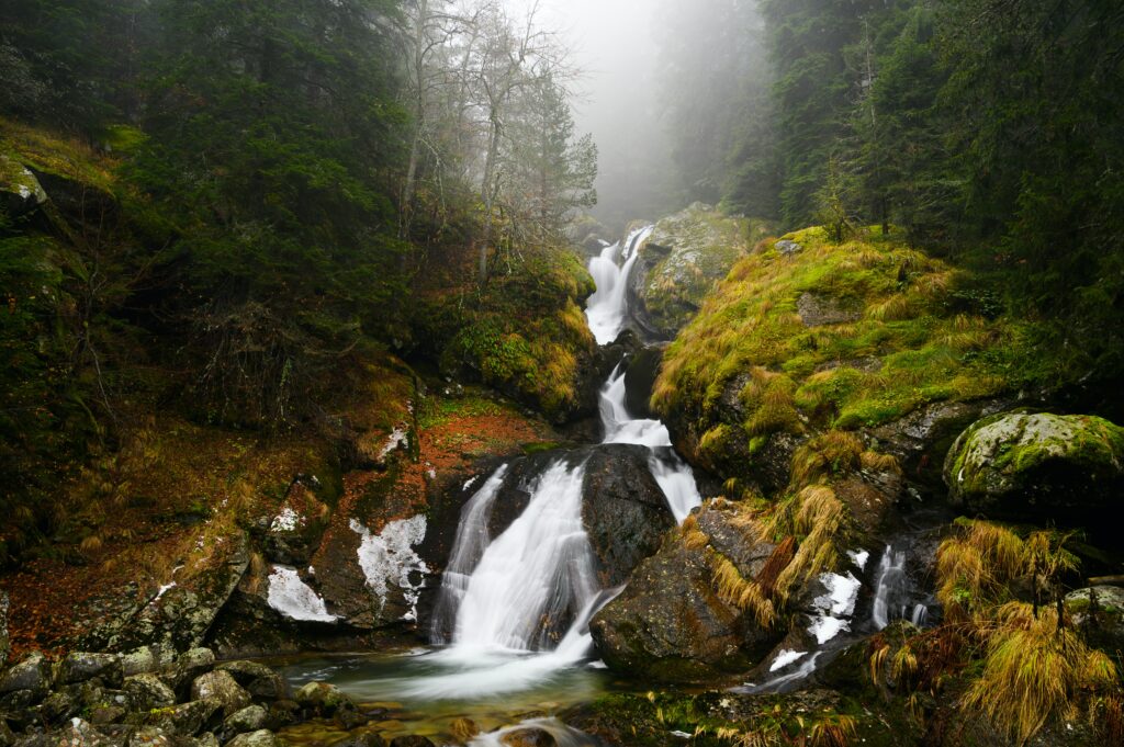Serene waterfall over mossy rocks in misty evergreen forest with clear river and lush greenery Wallpaper