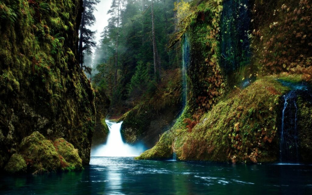 Mystical gorge with cascading waterfalls lush mossy rocks dense forest and misty serene water Wallpaper