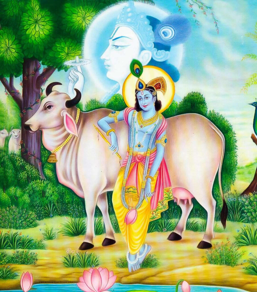 Divine Display: Lord Krishna, Serene Cow, and Blissful Pond with Pink Lotus - Exquisite HD Artwork Wallpaper