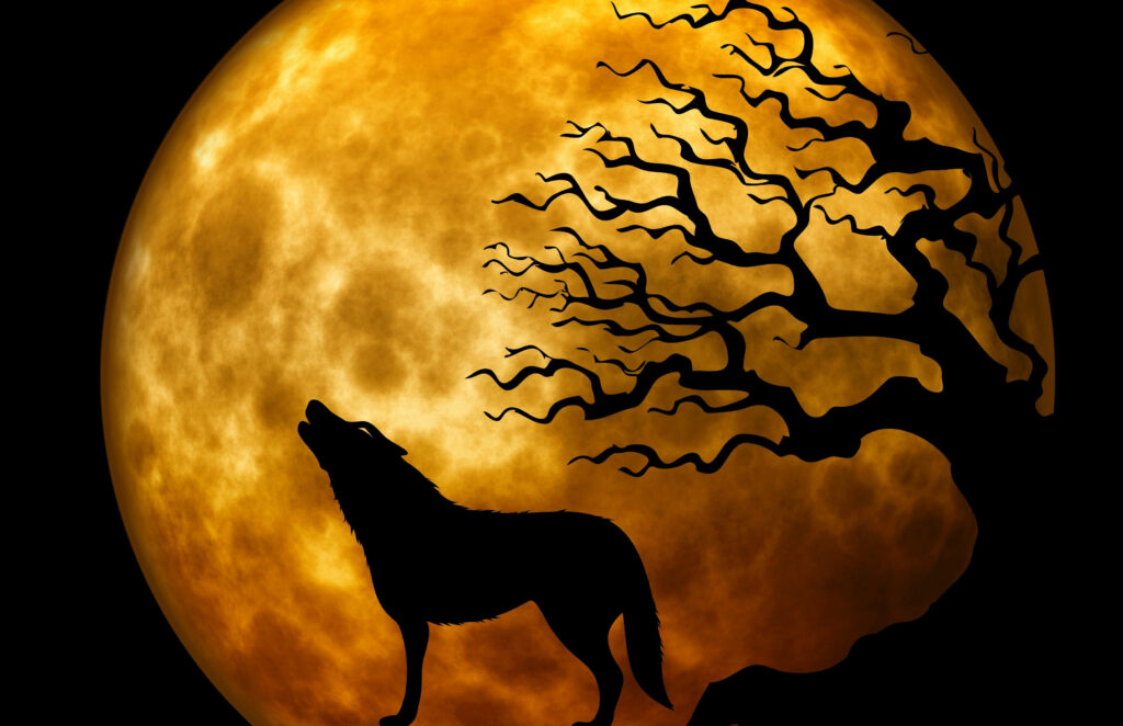 Enchanting Nocturnal Howls: Majestic Wolf Silhouette Embraces a Bewitching Yellow Moon Wallpaper