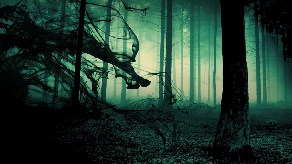 Enigmatic Moonlit Wilderness: Eerie Halloween Wallpaper