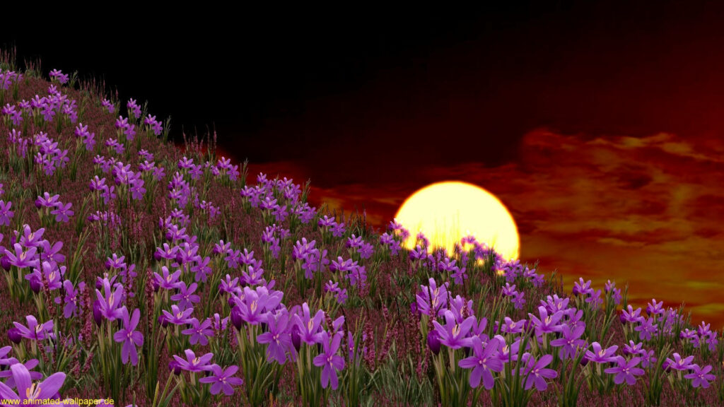 Enchanting Field: Vibrant Violet Blossoms Dance as the Yellow Moon Illuminates Wallpaper