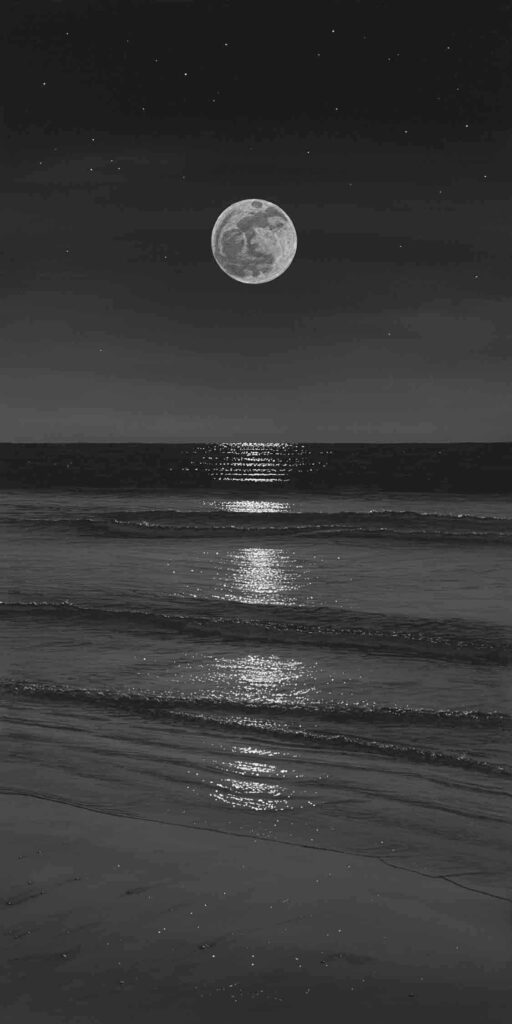 Lunar Luminance: Captivating Nighttime Aesthetics for your HD Phone Wallpaper