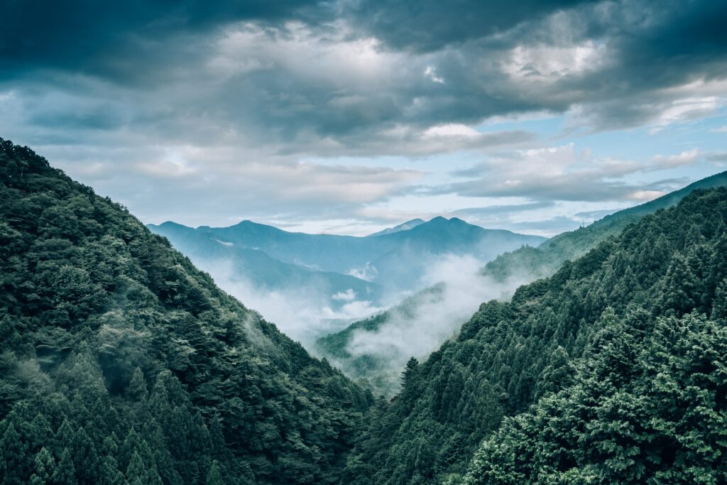 Aerial view of lush green mountain forest with drifting fog and dramatic blue gray clouds above Wallpaper