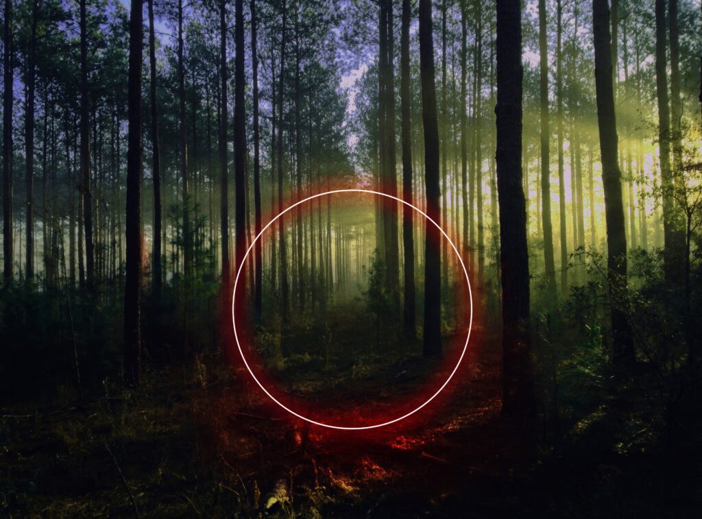 Glowing neon circle in misty forest with tall trees and sunlight rays futuristic nature wallpaper