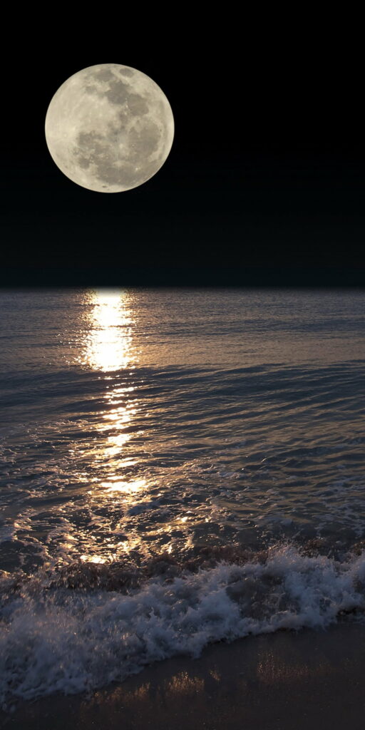 Midnight Serenity: An Enchanting Moonlit Sea Wallpaper