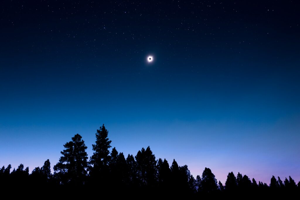Serene night sky with stars and solar eclipse above dark tall trees gradient background wallpaper