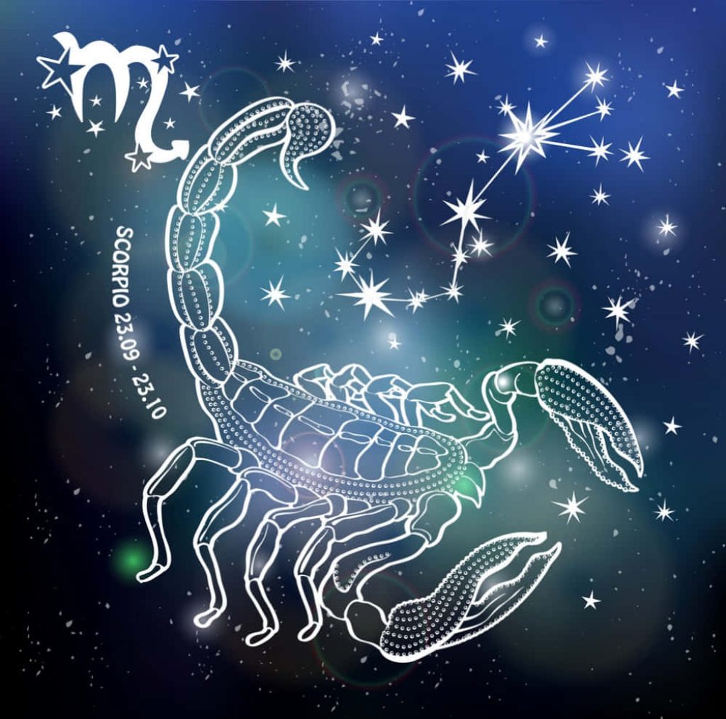Mystical Scorpio digital art white-line scorpion constellation zodiac wallpaper background