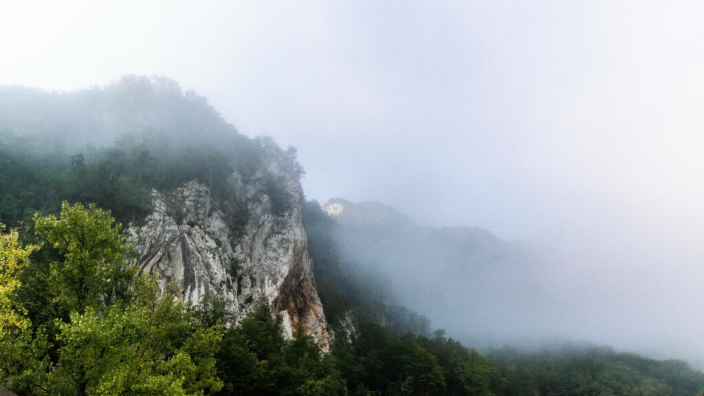 Majestic Rocky Mountain Scenery Enveloped in Misty Serenity – Serbia's Enchanting Forest Ambiance Wallpaper