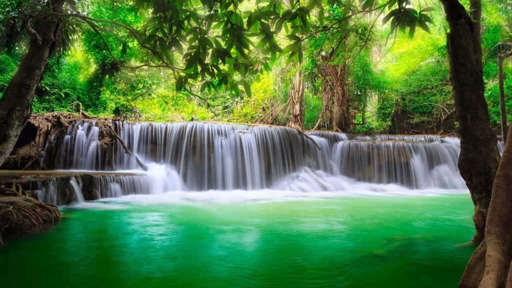 Serenity Unveiled: Capturing the Enigmatic River Amidst an Emerald Forest Wallpaper