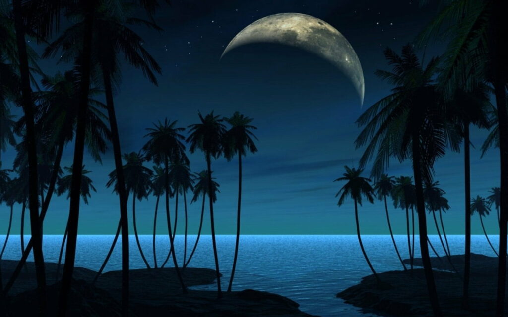 Moonlit Serenity: Captivating Nighttime Beachscape with Palm Trees and Calm Sea Wallpaper