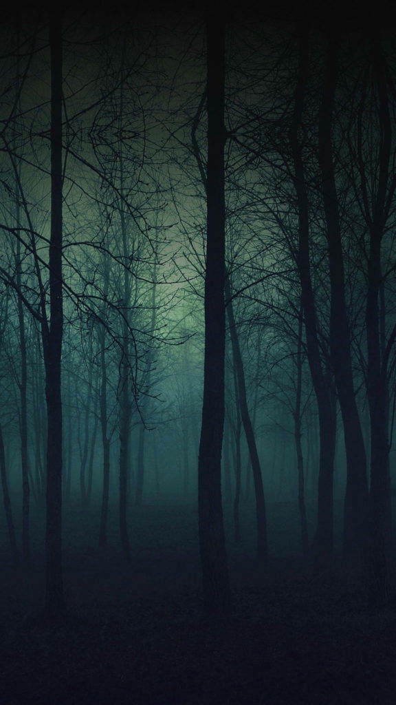 Misty Shadows: Enigmatic Silhouettes in Haunted Woods - iPhone Background Wallpaper