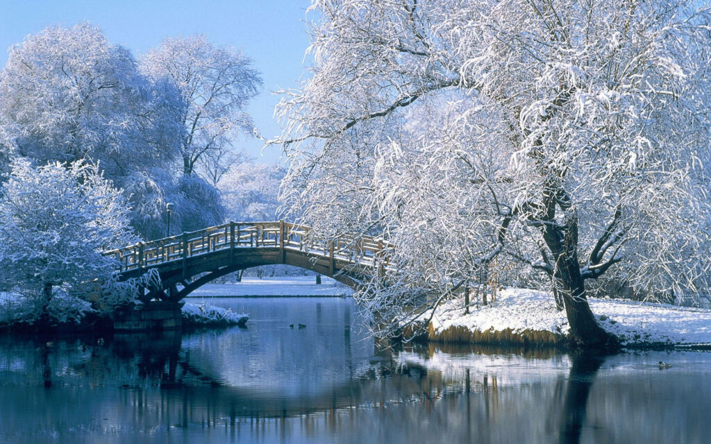 Enchanting Nature Retreat: Tranquil Riverbank with Ivory Trees and Riverside Bridge – Captivating HD Computer Background Wallpaper