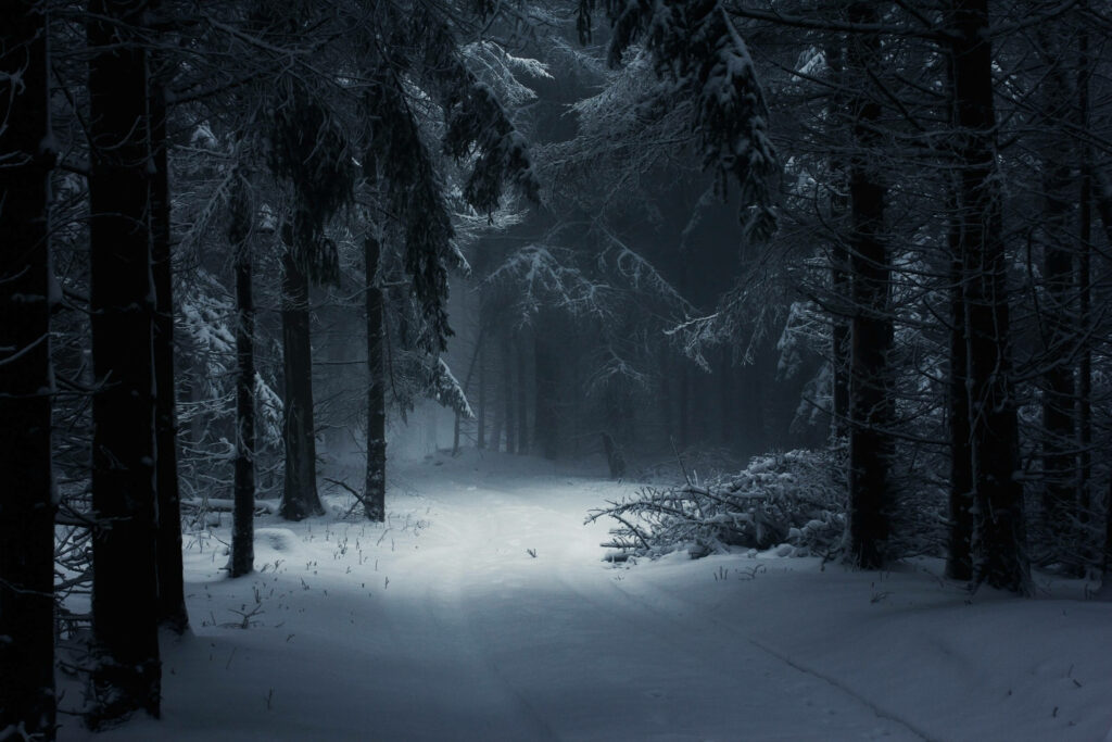 Winter Wonderland: Serene Forestscape with Snow-Kissed Trees, Bathed in Ethereal Glow - Enchanting iPhone Background Wallpaper