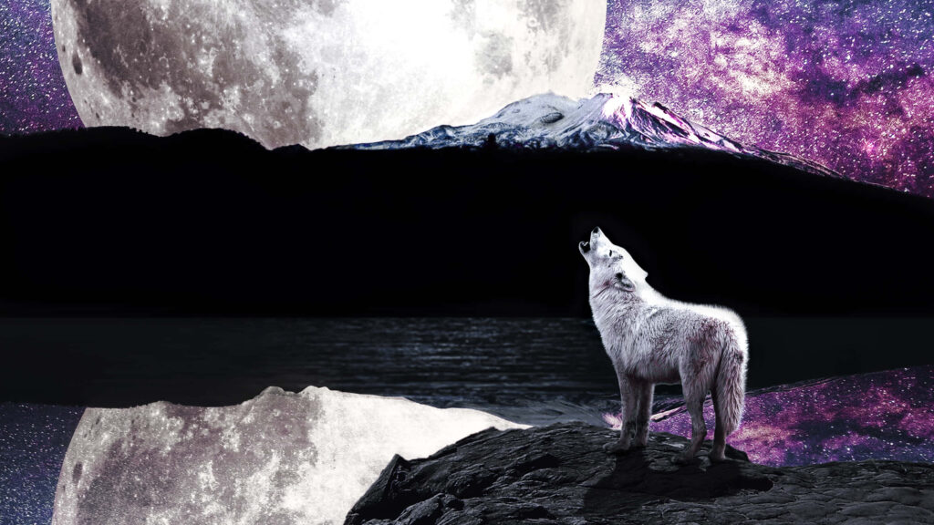 Mysterious Wolf Howling Wallpaper with Luminous Full Moon