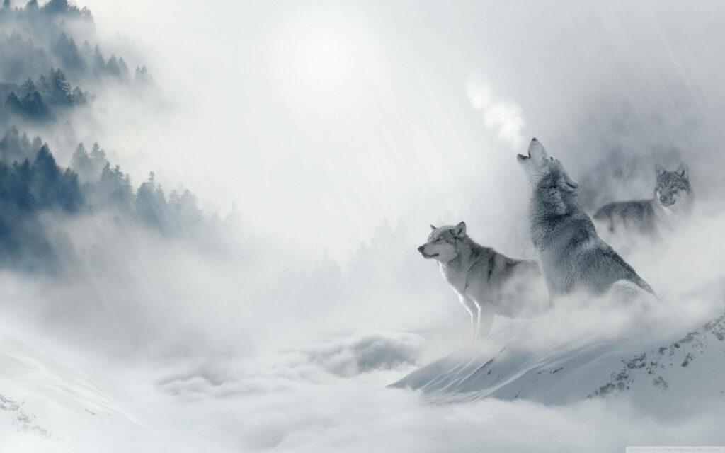 Mystical Wolf Howling in Foggy Snowy Landscape Wallpaper